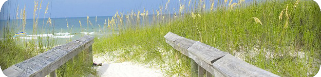 condo insurance gulfshores