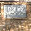 Rolling Meadows Daphne